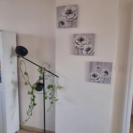 Ancient - Cozy Place Next To The Sea, Marina, Historical Sites, Buses, Mall, And Market 公寓 *